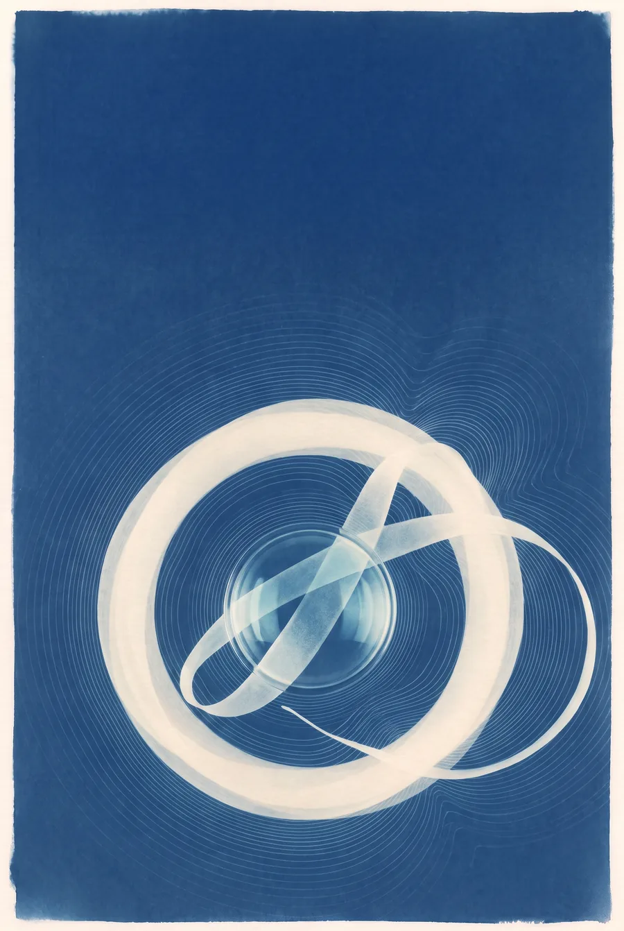 Cyanotype. An Answer Together with Its Grounds