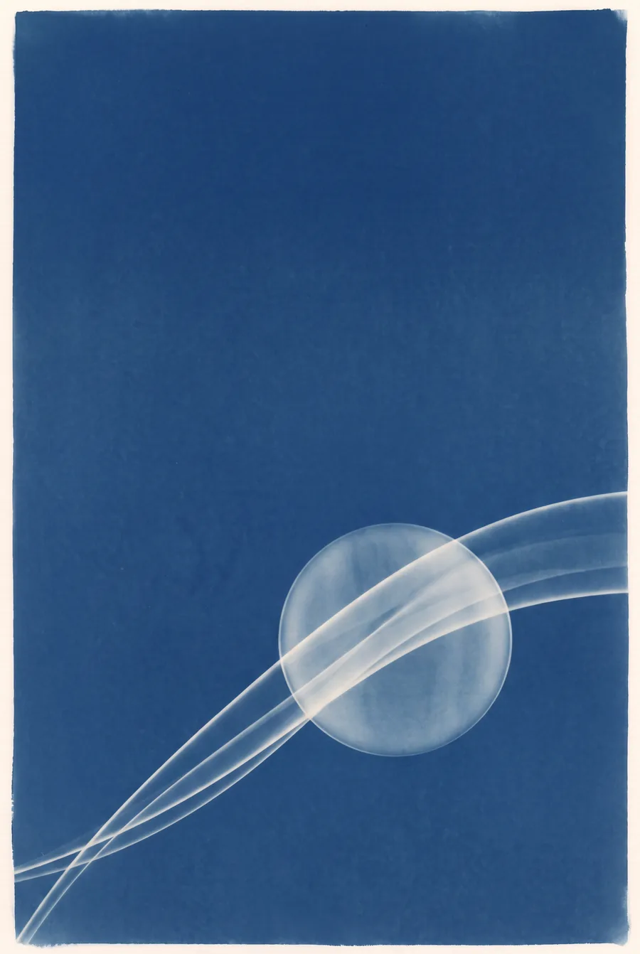Cyanotype. An Experiment That Could Change Our Minds